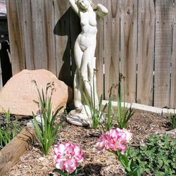 Travelites Nudist Retreat - One of the flower gardens