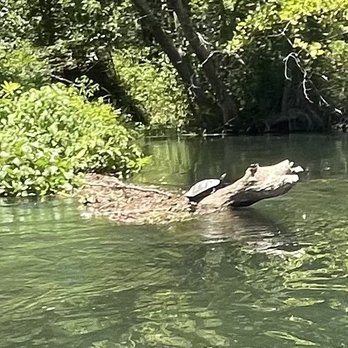 Savannah Rapids Kayak Rental - Rafting/Kayaking Near Me - Augusta, Georgia