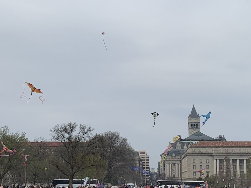 SMITHSONIAN KITE FESTIVAL 21 Photos & 11 Reviews Washington