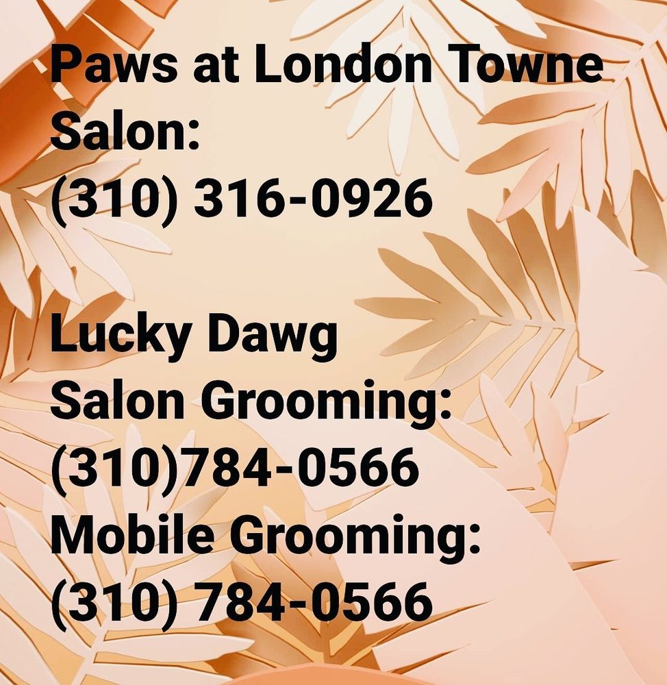 SHIRLEY’S GROOMING Updated September 2024 308 Photos & 24 Reviews 5118 W 190th St