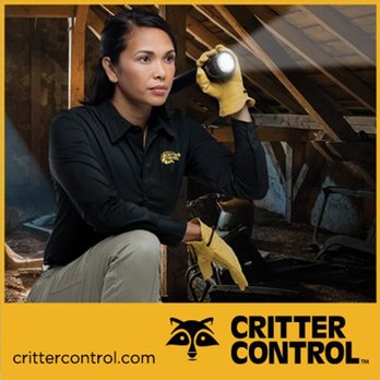 Critter Control - Pest Control Near Me - Mineola, Texas Critter Control - Pest Control Near Me - Mineola, Texas