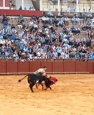 Plaza de Toros de la Real Maestranza de Caballería de Sevilla by null