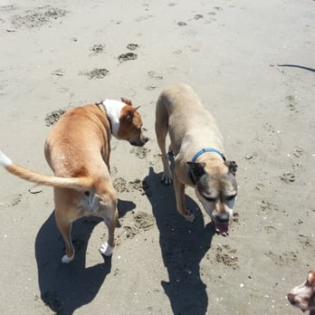 Rio Del Mar State Beach - Beaches Near Me - Aptos, California