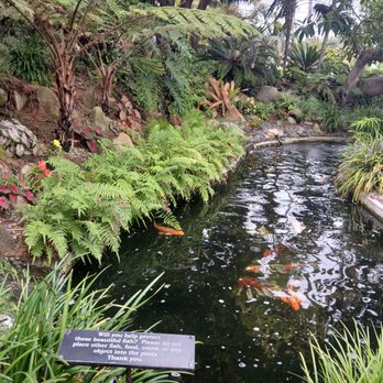 Self-Realization Fellowship - Koi pond in Meditation Garden - Recreation Centers Near Me - Encinitas, California