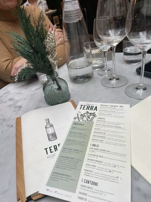 Menu photo 5 Terra Boston, MA
