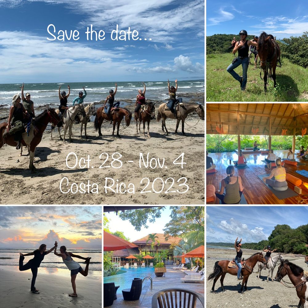 Ashva Yoga - equestrian in Castle Rock, CO