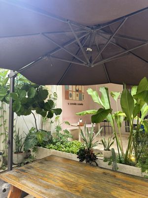 Te Extraño, Extraño. by null