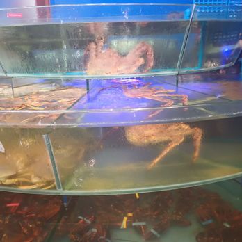 Asian Pearl Kitchen - King crab & lobsters tank - Dim Sum Near Me - Richmond, California