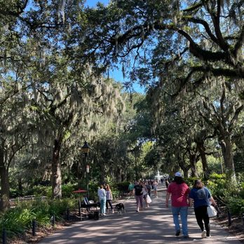 Forsyth Park - Parks Near Me - Savannah, Georgia Forsyth Park - Parks Near Me - Savannah, Georgia