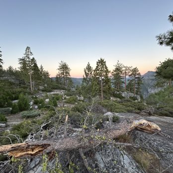 Donell Vista - Local Flavor Near Me - Tuolumne County, California