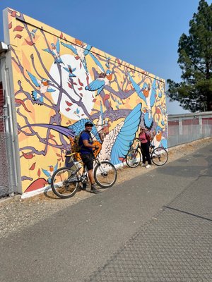 Napa Valley Vine Trail by null