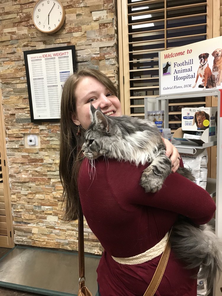 FOOTHILL ANIMAL HOSPITAL 47 Photos & 54 Reviews Veterinarians 70
