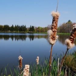 Pine Cradle Lake Family Campground - A view from our 18 acre lake.