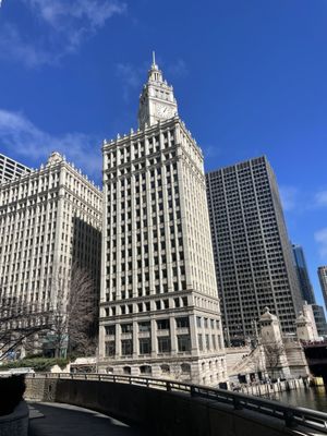 The Wrigley Building by null