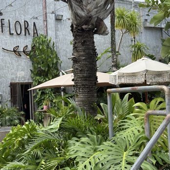 Flora - Entrance view - Breakfast & Brunch Near Me - Miami, Florida Flora - Entrance view - Breakfast & Brunch Near Me - Miami, Florida