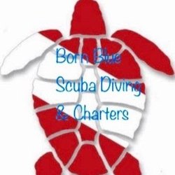 Born Blue Diving & Charters