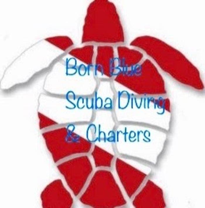 Born Blue Diving & Charters Logo