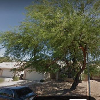 Arbor Care Tree Service - Thanks for getting rid of this street for me. - Tree Services Near Me Arbor Care Tree Service - Thanks for getting rid of this street for me. - Tree Services Near Me