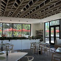 The Green Orchid by Michael's On East