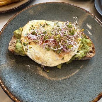 Provisional Kitchen - Avocado toast (requested over-hard eggs as opposed to poached) - Breakfast & Brunch Near Me - San Diego, California Provisional Kitchen - Avocado toast (requested over-hard eggs as opposed to poached) - Breakfast & Brunch Near Me - San Diego, California