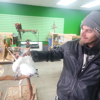 Parrotopia - Cody with a friendly cockatoo - Bird Shops Near Me - Citrus Heights, California Parrotopia - Cody with a friendly cockatoo - Bird Shops Near Me - Citrus Heights, California