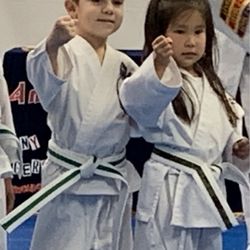 Parks ATA Hidden Tigers Taekwondo - Tiny tigers
