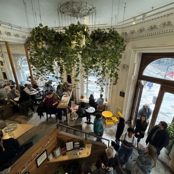 Tommy - Inside - Coffee & Tea Near Me - Montreal, Quebec