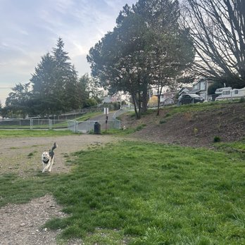 B-Town Dog - Dog Parks Near Me - Burien, Washington B-Town Dog - Dog Parks Near Me - Burien, Washington