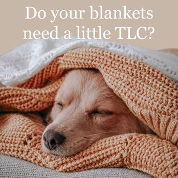EcoCleaners - Preston Hollow - Dry Cleaning Near Me - Dallas, Texas EcoCleaners - Preston Hollow - Dry Cleaning Near Me - Dallas, Texas