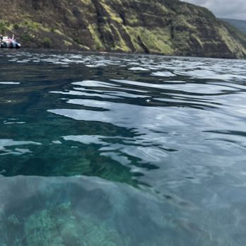 Captain Zodiac - Beautiful landscape of snorkel spot. - Snorkeling Near Me - Kailua Kona, Hawaii