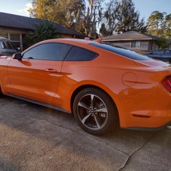 Tint Nation - 20% mustang