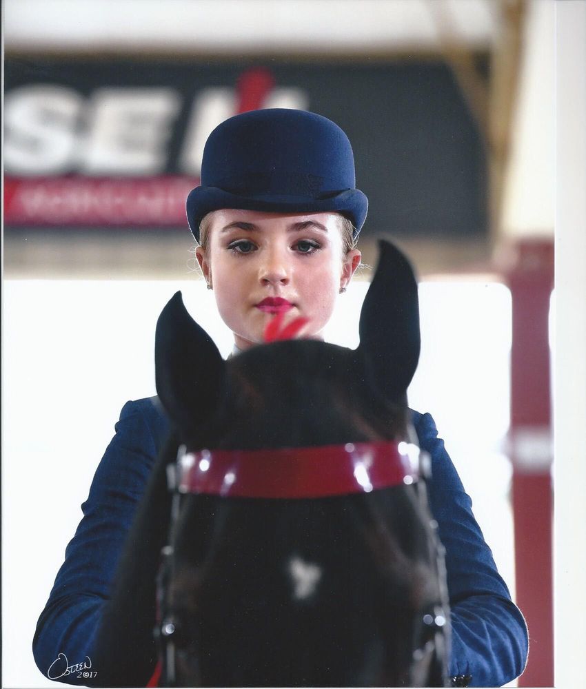 Country Meadow Farm - equestrian in Mokena, IL