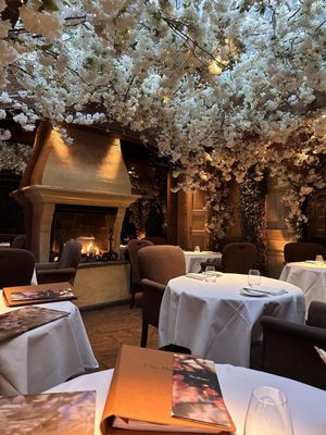 Clos Maggiore by null