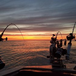 Rigged Sportfishing Charters