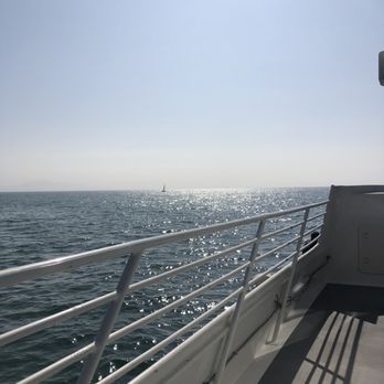 Condor Express Whale Watching - Boat Charters Near Me - Santa Barbara, California