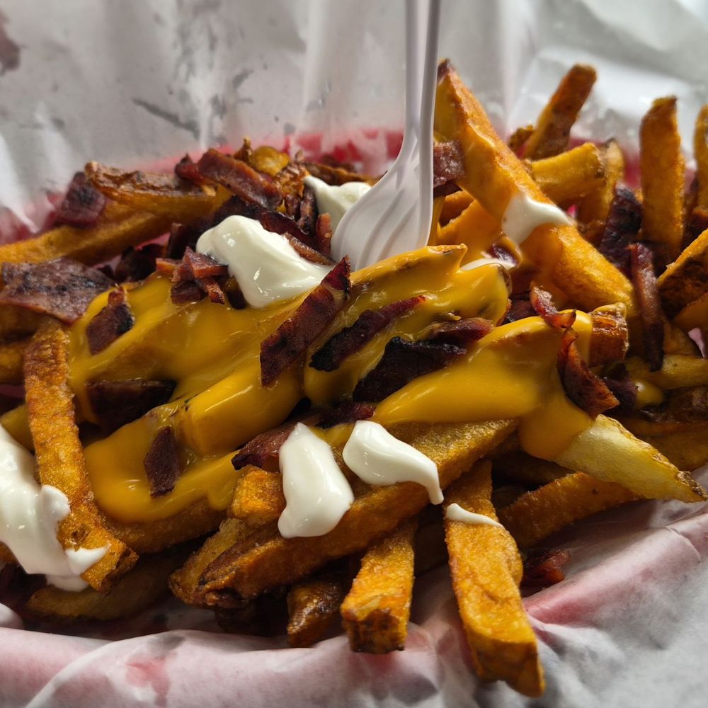 Blaze-N-Grill - 3 layer fries (loaded fries) - Burgers Near Me - Chicago, Illinois