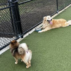 Colohatchee Park - Dog park