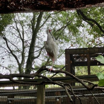 Maryland Zoo in Baltimore - Zoos Near Me - Baltimore, Maryland