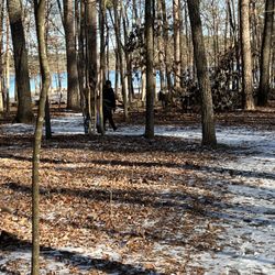 Lake Catherine State Park