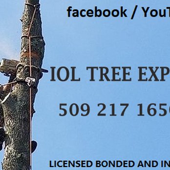 IOL Tree Experts - Business information - Tree Services Near Me - Spokane Valley, Washington IOL Tree Experts - Business information - Tree Services Near Me - Spokane Valley, Washington