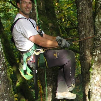 Tree Resource - Zeb Haney, Board Certified Master Arborist, has been called the most knowledgeable arborist in Seattle. - Landscaping Near Me - Federal Way, Washington Tree Resource - Zeb Haney, Board Certified Master Arborist, has been called the most knowledgeable arborist in Seattle. - Landscaping Near Me - Federal Way, Washington