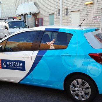 Signarama - Car wrap - Printing Services Near Me - Raleigh, North Carolina Signarama - Car wrap - Printing Services Near Me - Raleigh, North Carolina