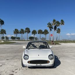 Figgy on the beach.