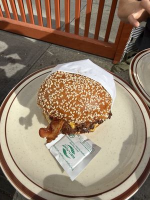 Class Clown Hamburgers by null