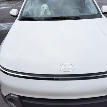 Echo Park Automotive - Used Car Dealers Near Me - Cary, North Carolina Echo Park Automotive - Used Car Dealers Near Me - Cary, North Carolina