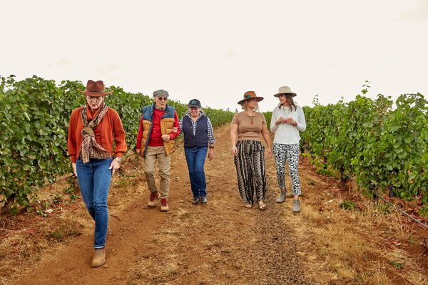 Knudsen Vineyards by null