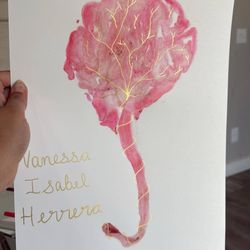 Graceful Hands Birth Services