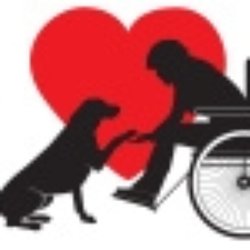 Angelic Canines Dog Training - Assitance/Service Dog Training