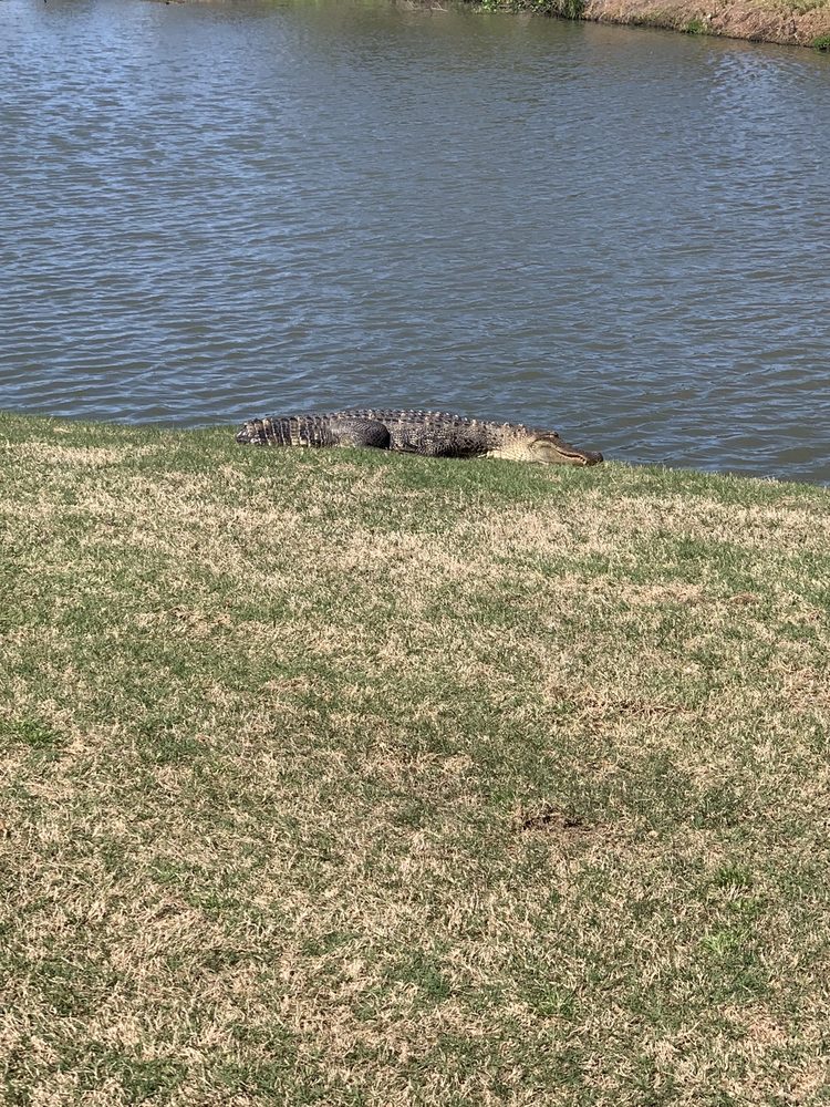 ABERDEEN COUNTRY CLUB 701 Bucks Trl, Longs, South Carolina Country