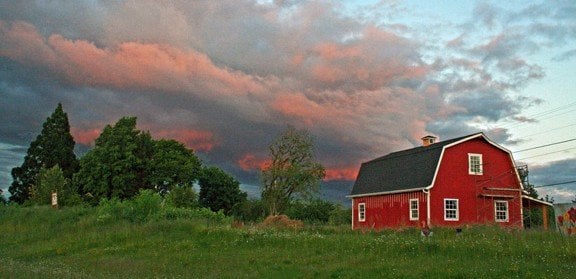 Midway Farms | Fresh Goods | Albany by null
